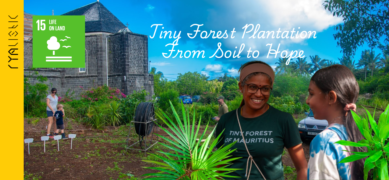 Tiny Forest Plantation From Soil to Hope